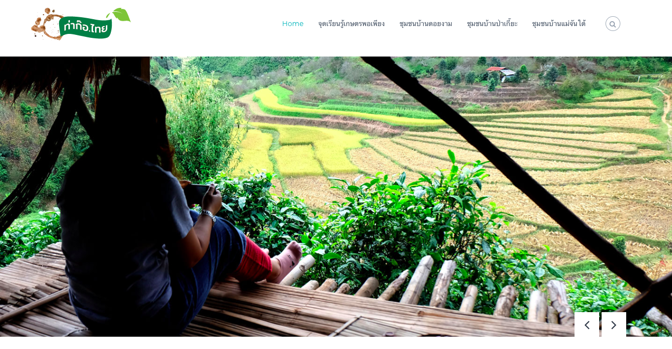 Read more about the article ท่าก๊อ.ไทย